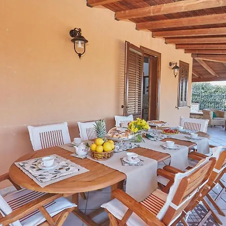 Sansone * ألتافيلا ميليتشا